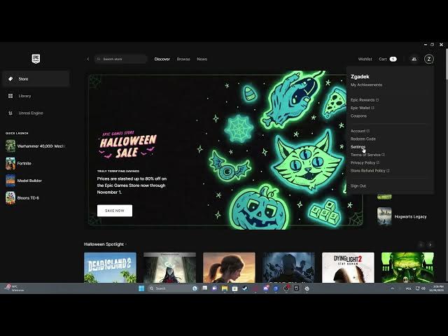 Video thumbnail for How To Enable & Disable Offline Mode Browsing In Epic Games Launcher 2023 / 2024