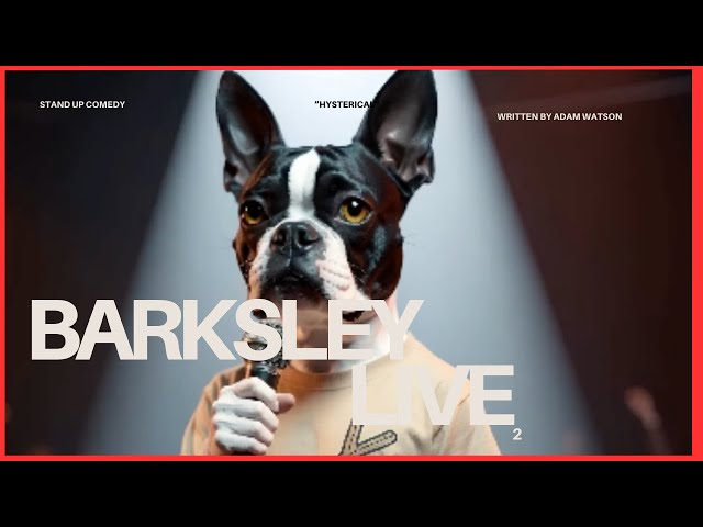 Video thumbnail for New Stand Up Comedy Barksley The Boston Terrier Live 2