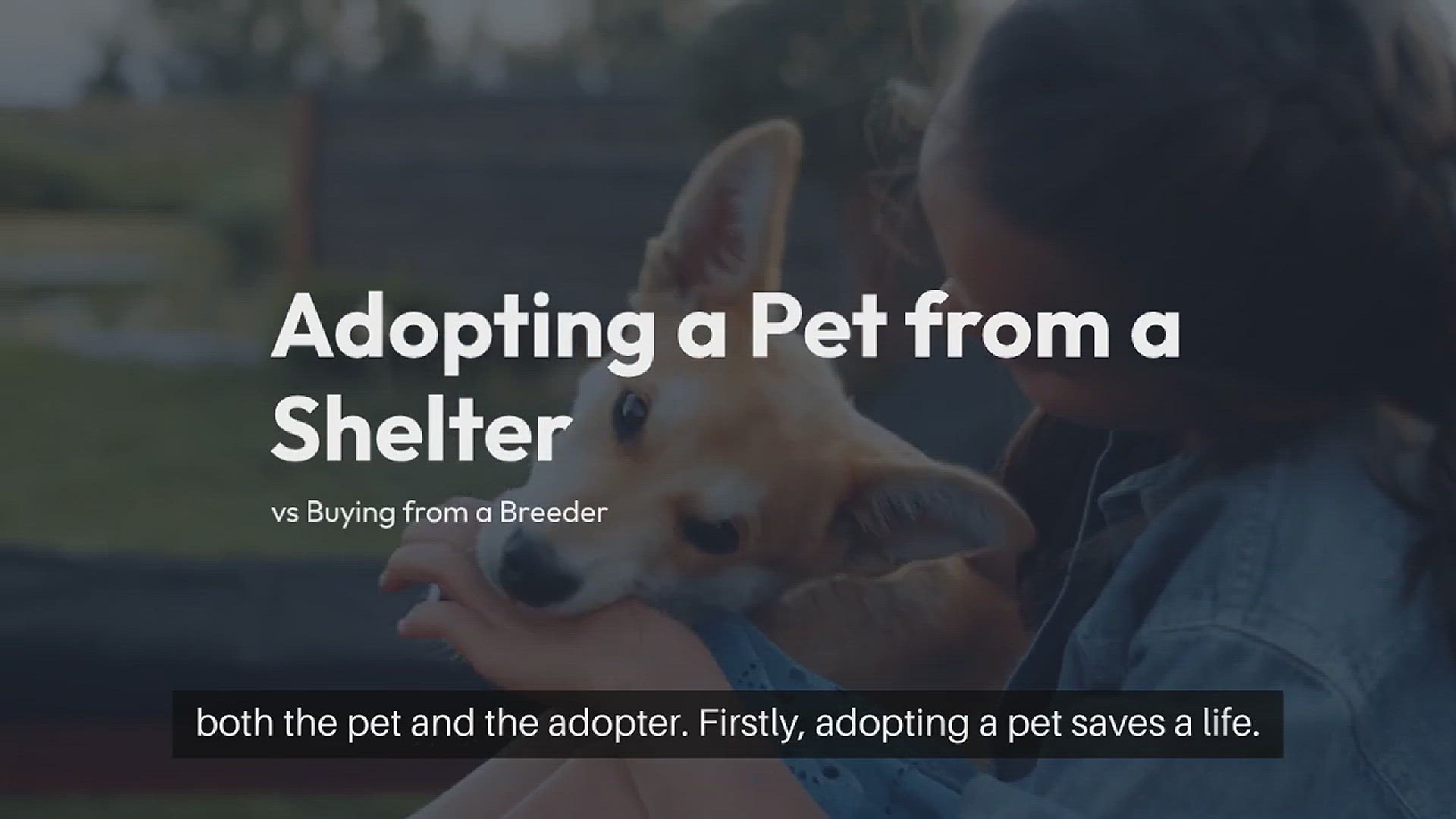 Video thumbnail for Why Adopt Instead Of Buying A Pet