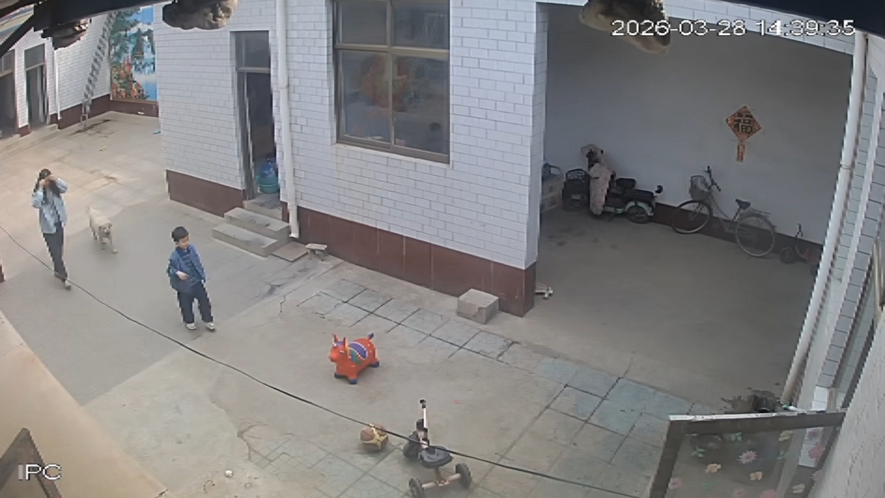 Video thumbnail for Boy Falls After Jumping Off Animal Ride-On Toy in Hebei