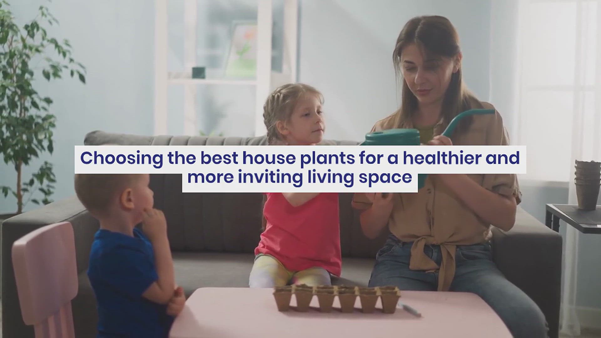 'Video thumbnail for How to Choose the Best House Plants'