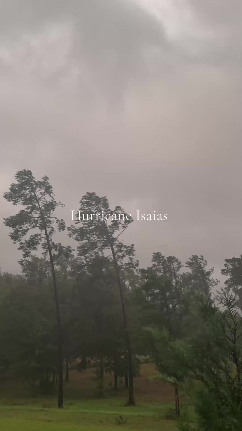 Video thumbnail for Trees Bending in the Winds of Hurricane Isaias