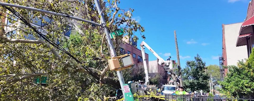 Video thumbnail for Severe storms leave trail of damage across Brooklyn