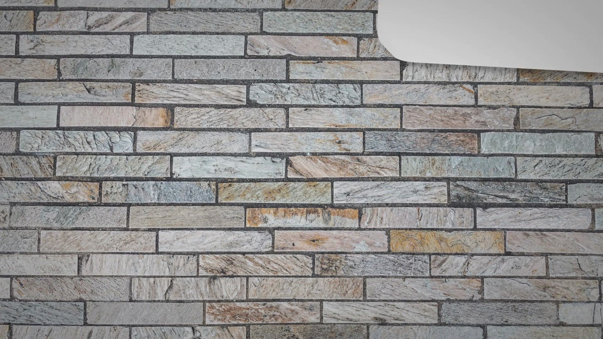 Video thumbnail for A Lei do Triunfo: 16 Principais Lições, Resumo e Resenha