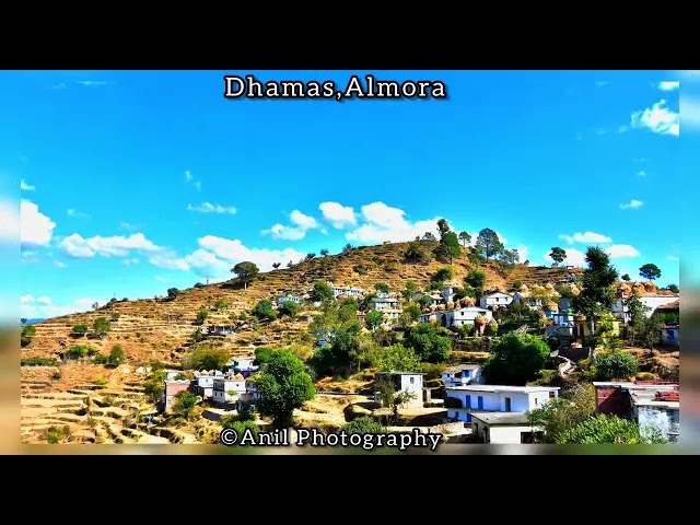 Video thumbnail for #APNA__PIYARA__GAW__DHAMAS__ALMORA❤️❤️