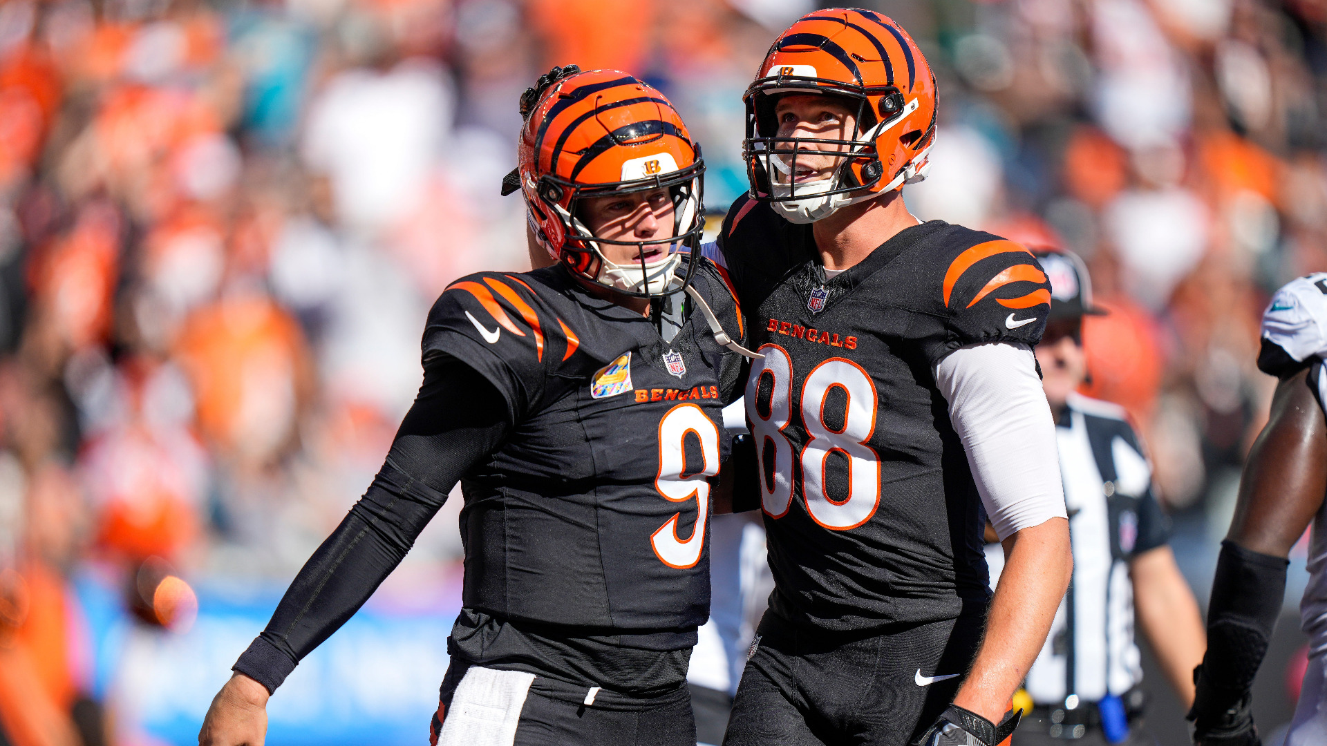 Video thumbnail for Dolphins Cover Wild Game, Bengals to Face Miami Next