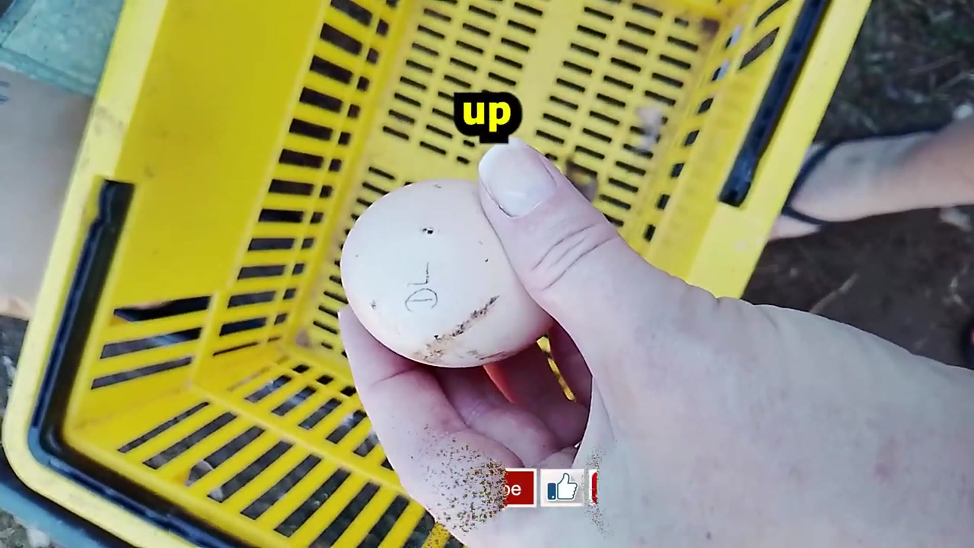 Video thumbnail for Why I Mark My Eggs Fertility Check