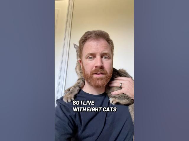 Video thumbnail for Eight cats and cat allergies. The air filter is helping noticeably. Strongly recommend.