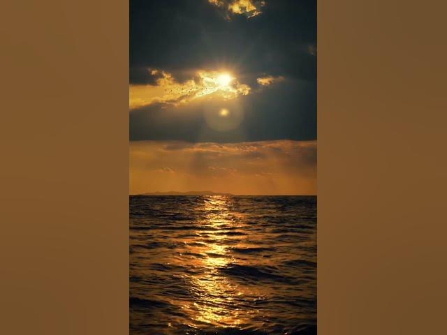 Video thumbnail for nature is God gift🌬️💚🌱 #nature #repost #savenature #world #nature #photography #naturephotography