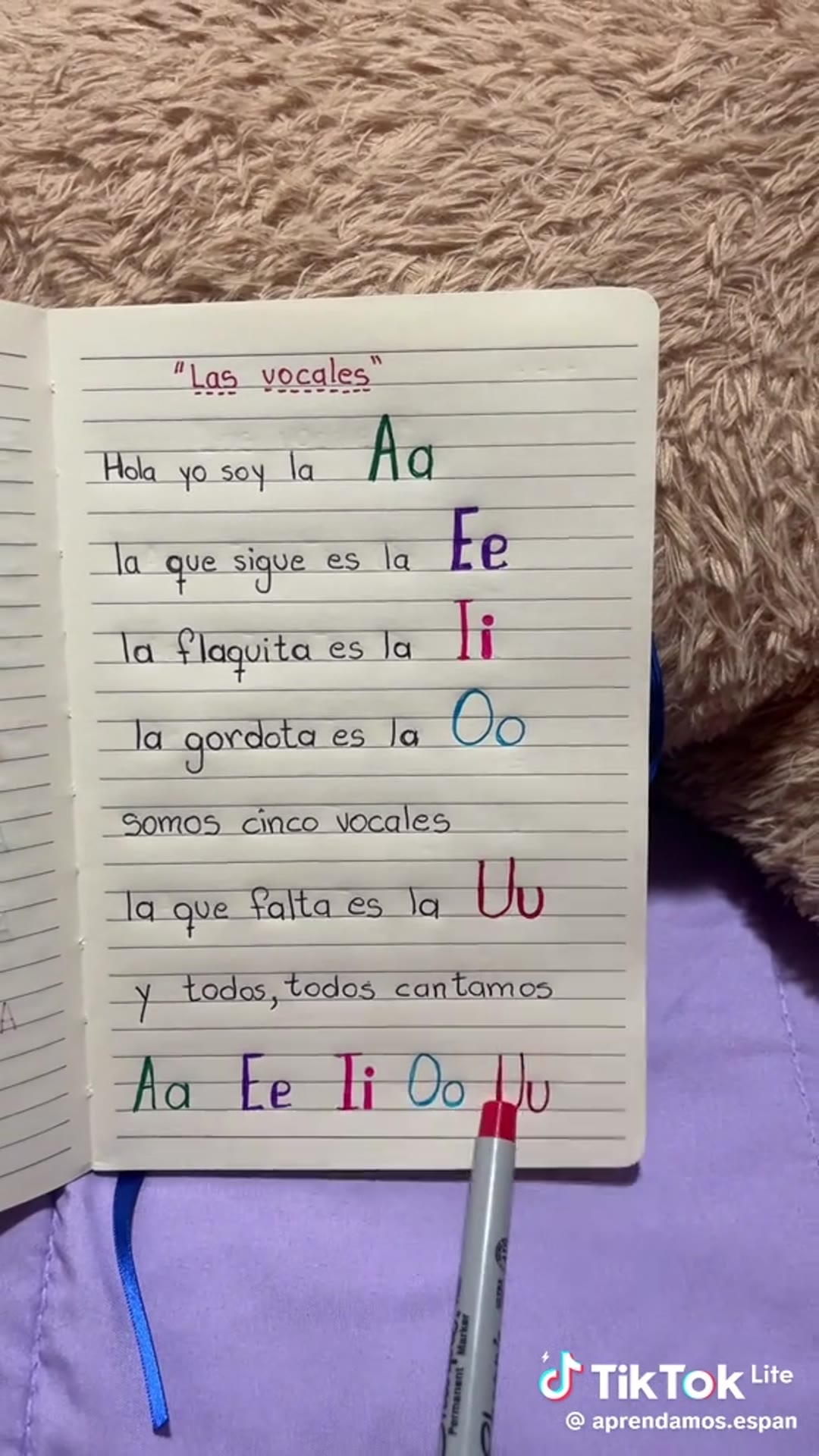 Video thumbnail for 7ed1f76399075dc87df4a13dede47323 1759344775632