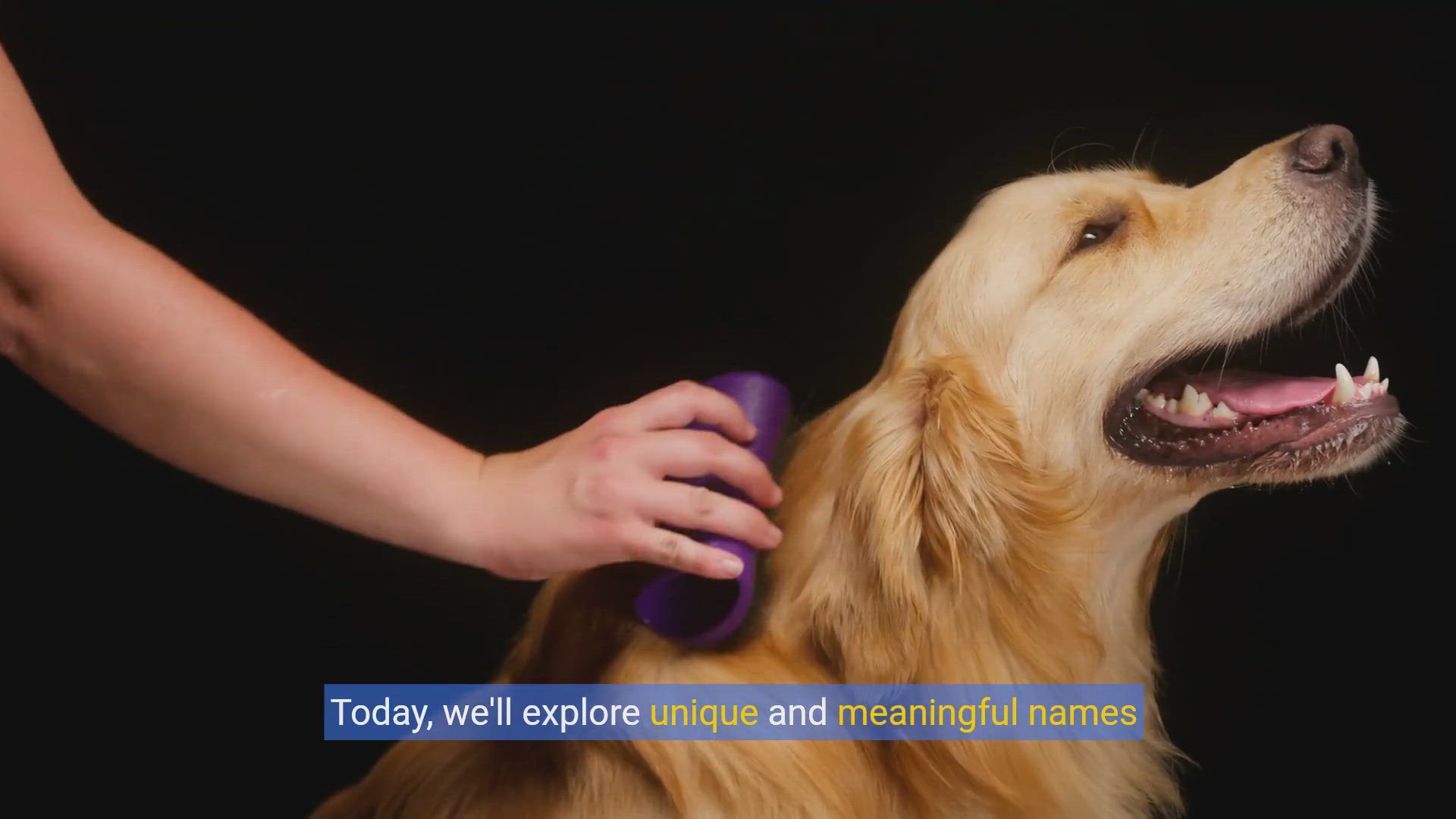 'Video thumbnail for Unique and Meaningful Names Inspired by Beloved Pets and Animals'
