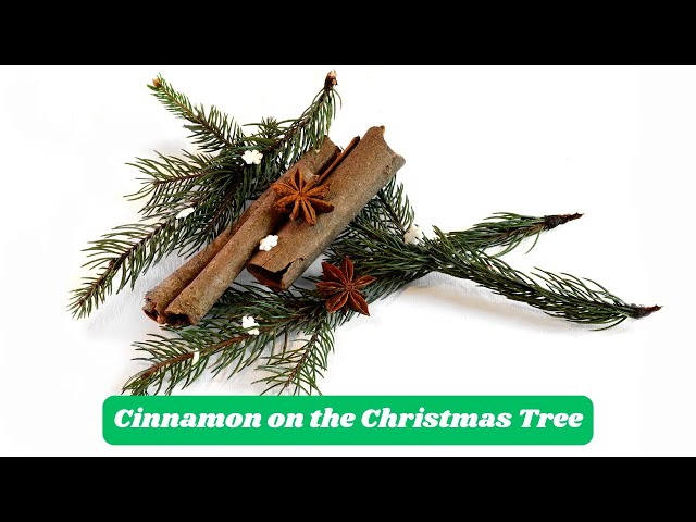 'Video thumbnail for The Symbolic and Spiritual Significance of Putting Cinnamon on the Christmas Tree'
