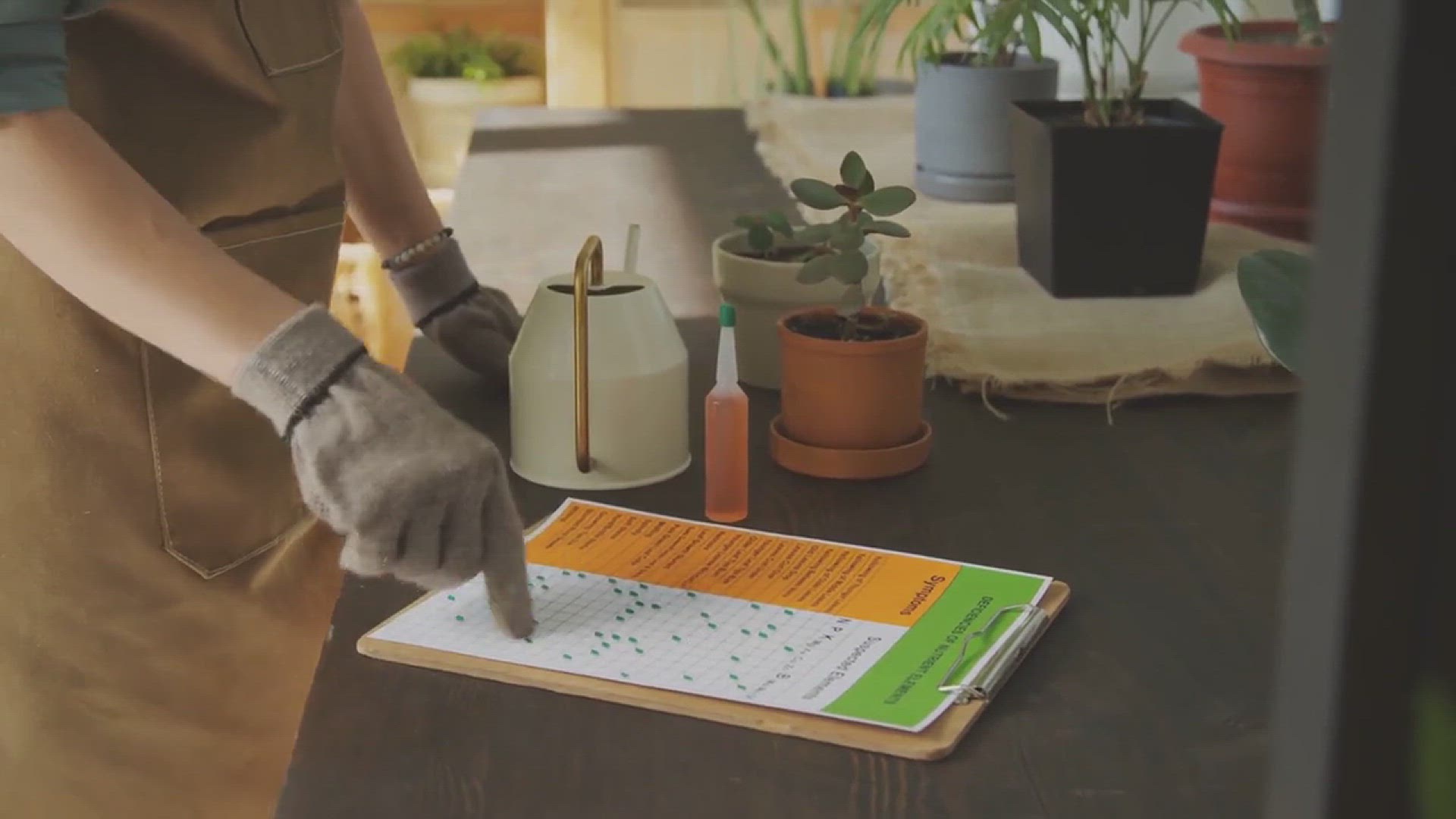 'Video thumbnail for How to Prevent Damping of Plants'