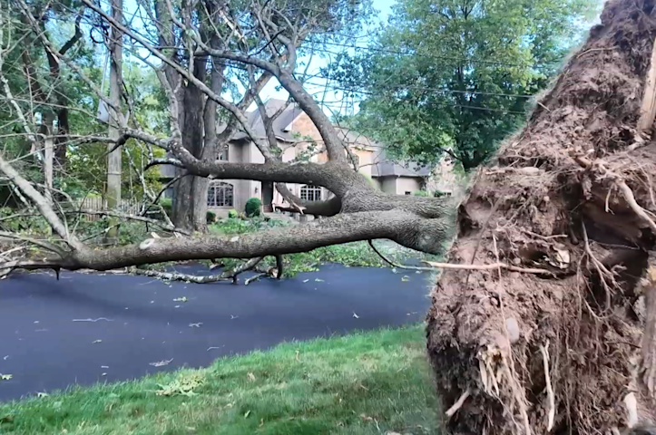 Video thumbnail for Police release identity of driver killed in freak storm crash caused by falling tree limb in Scotch Plains