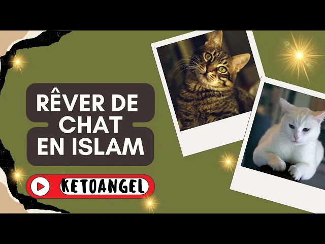 'Video thumbnail for Rêver de Chat signification interprétation en islam'