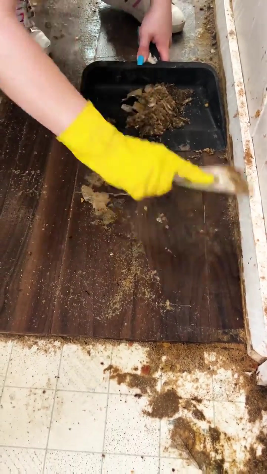 Video thumbnail for INSANE TRANSFORMATION__ Free Deep Hoarder Cleaning 🧼  So Satisfying 🥹(720P_60FPS)