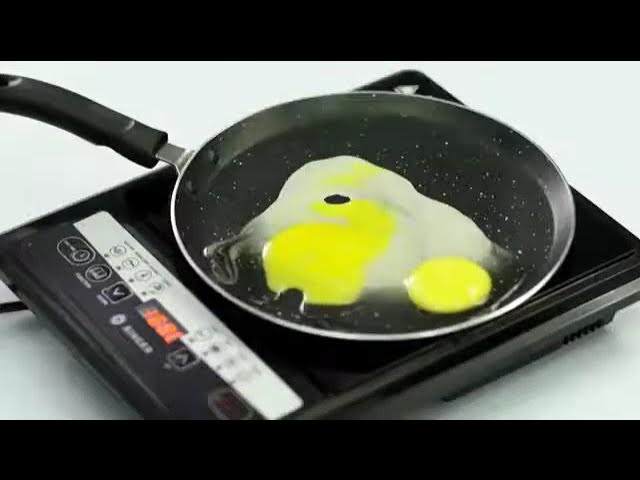 Video thumbnail for Singer Venus Induction Cooktop