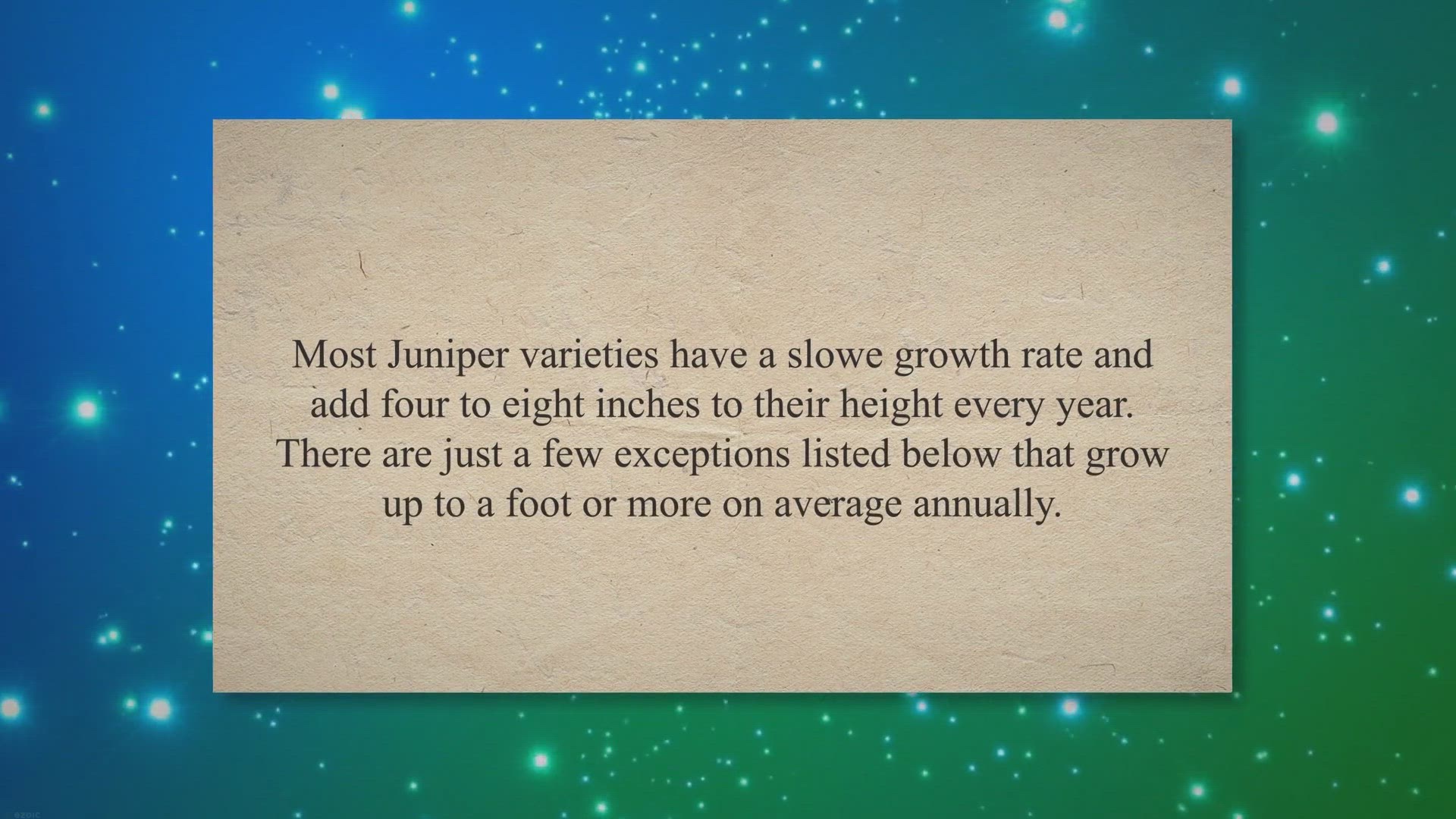 Video thumbnail for How Fast Do Junipers Grow?