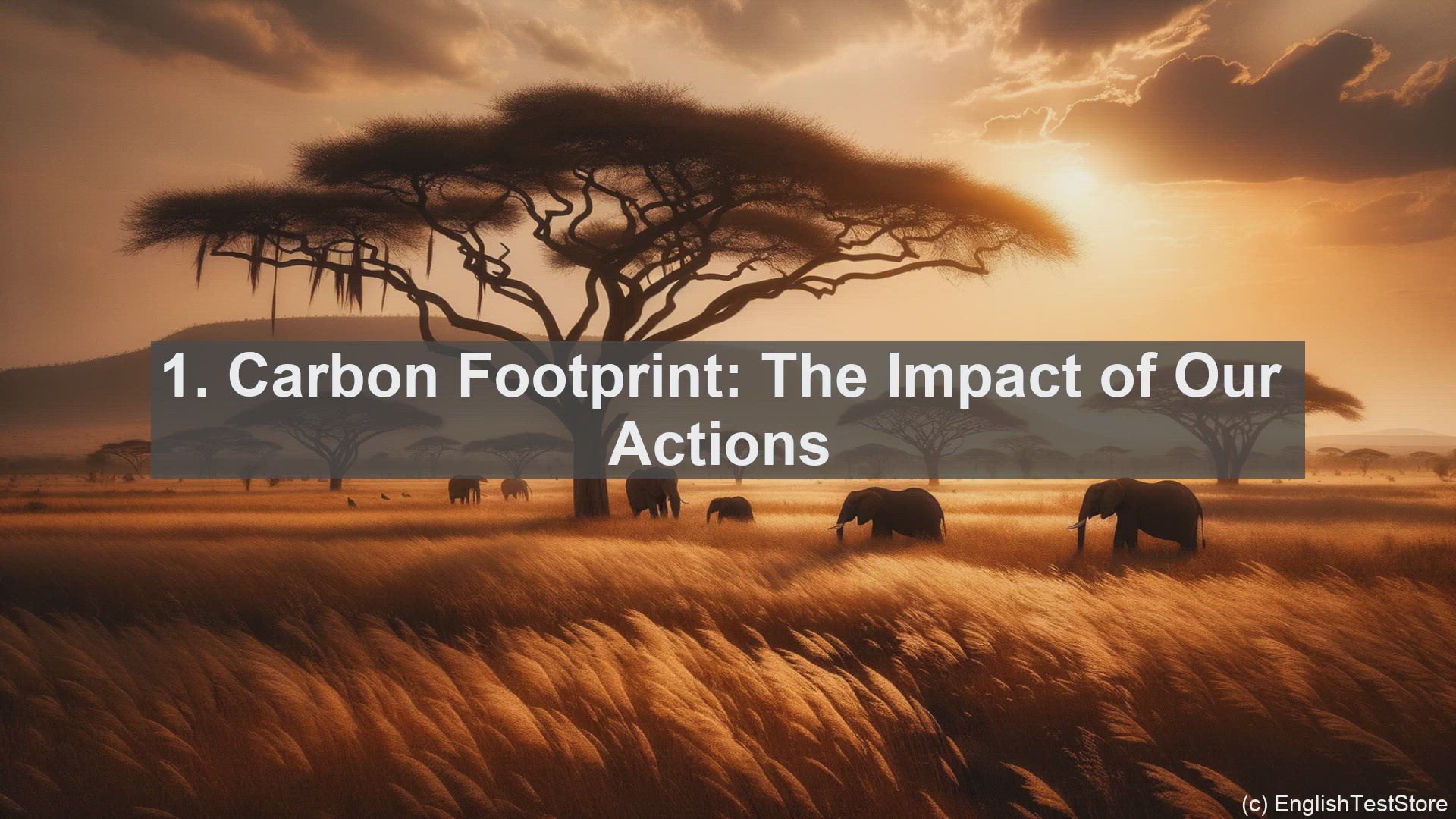 'Video thumbnail for Top 10 Phrases for Discussing Ethical Consumption and Sustainability'