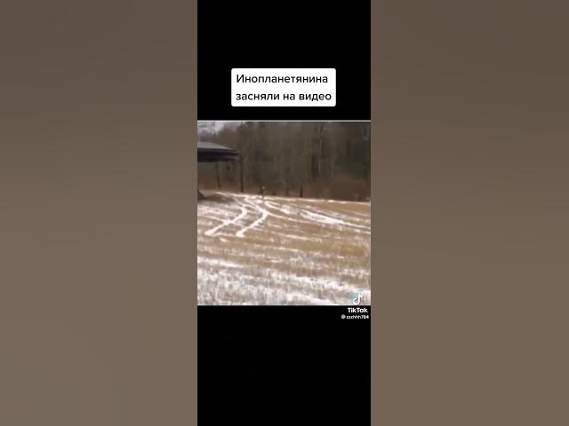 Video thumbnail for 16 February 2023