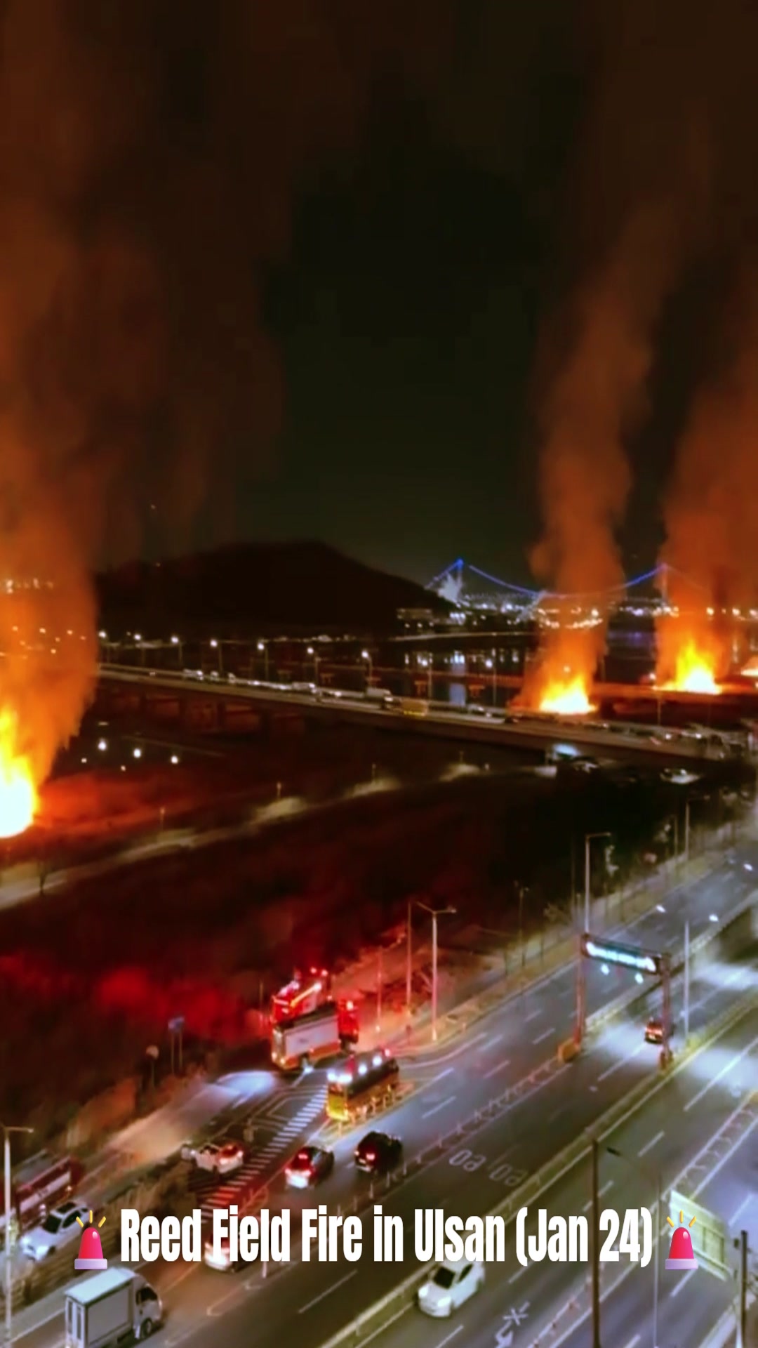 Video thumbnail for 🔥 Fire Breaks Out in Ulsan Reed Field Last Night | Jan 24