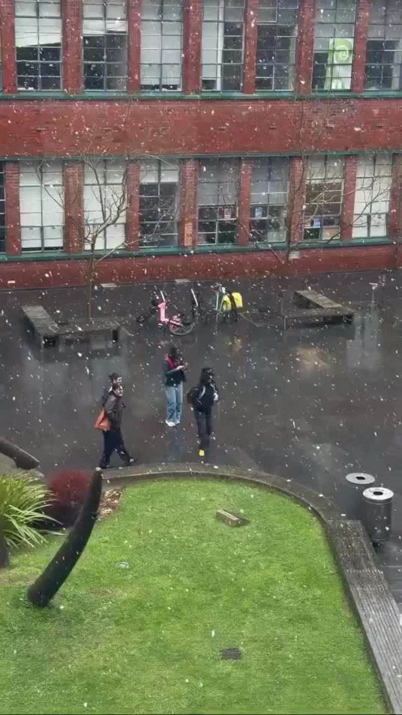 Video thumbnail for Rare Snowfall over Victoria University Campus in Wellington