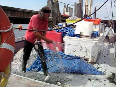Video thumbnail for schoonmaken van schip & netten 1