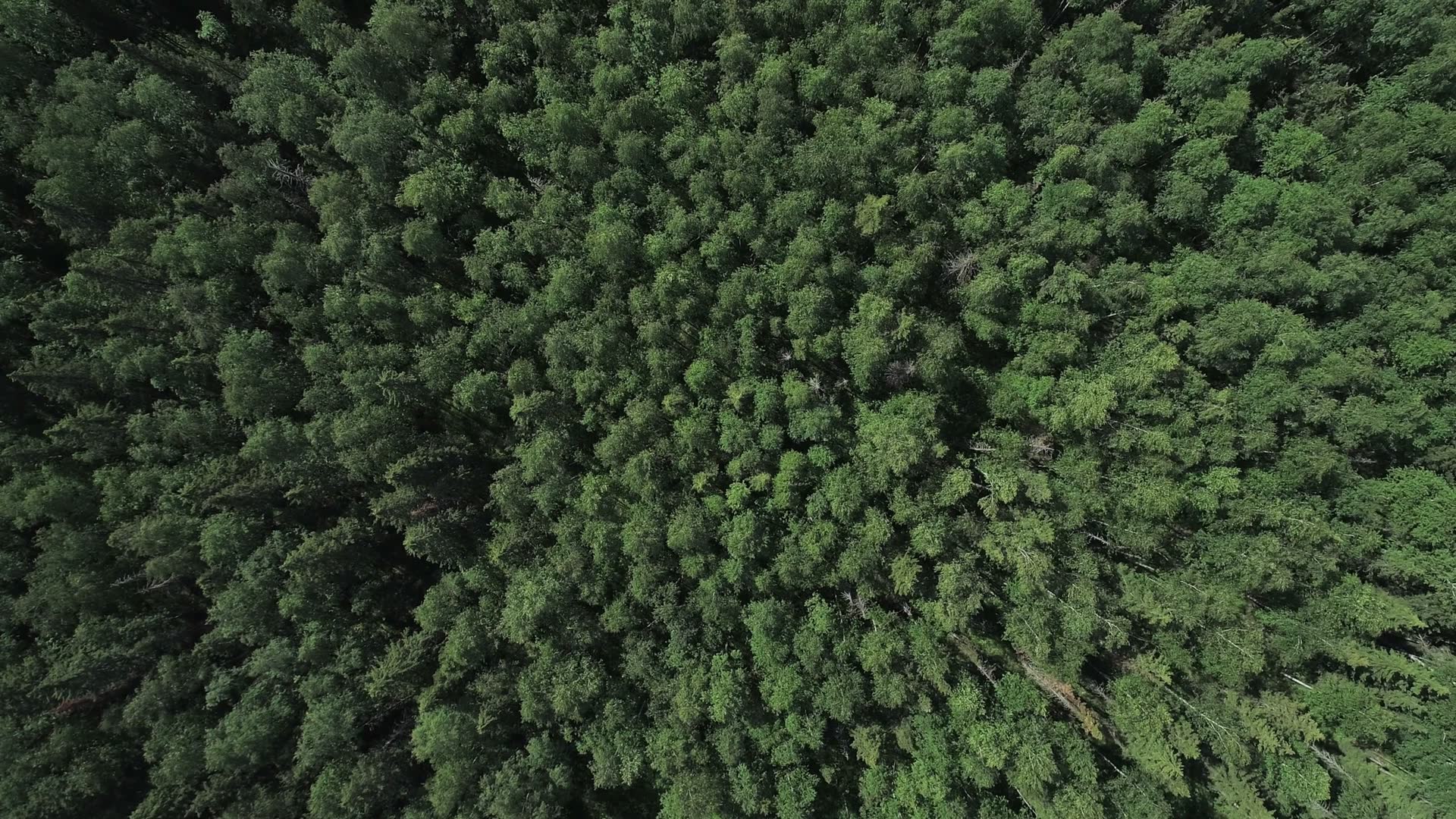 Video thumbnail for IT IS CLEAN - PICTURE LOCK 10-24.mov