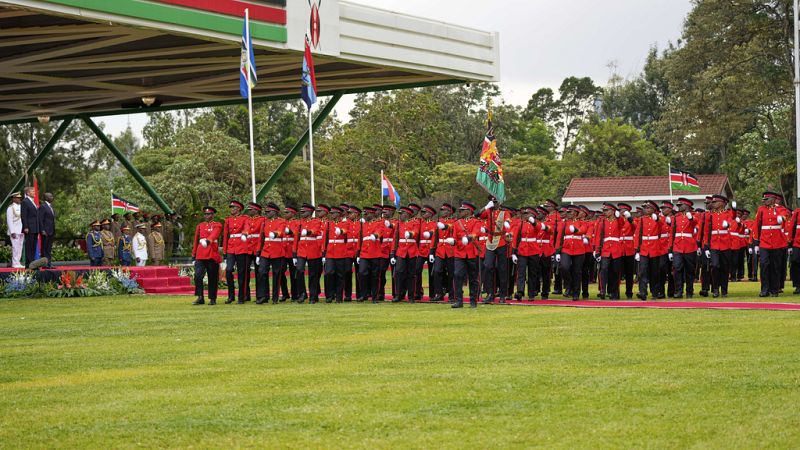 'Video thumbnail for Kenyan guard killed outside presidential palace, suspect to be assessed'
