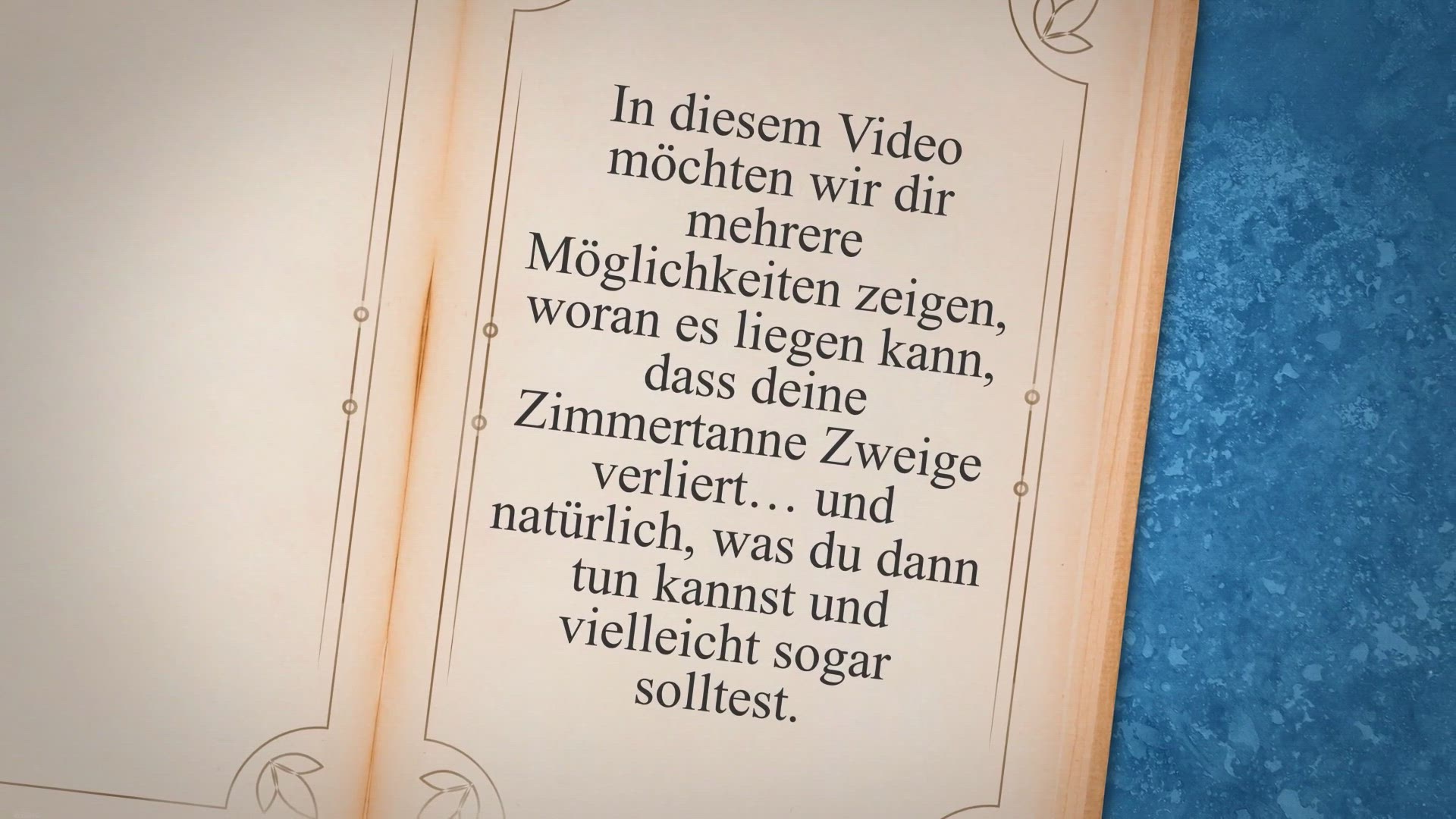 Video thumbnail for Zimmertanne verliert Zweige – das kannst du tun!