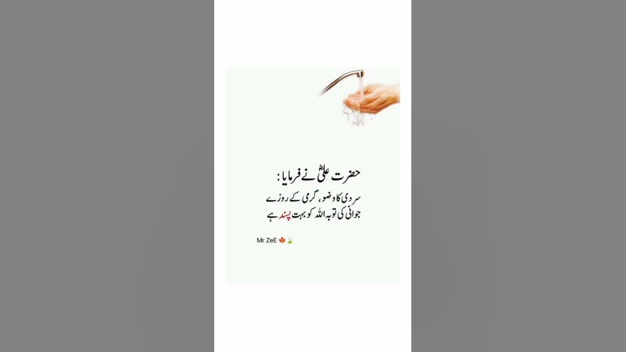 Video thumbnail for beshak ❤️#religion #islamicvideo #islam #2k24 #islamicsshorts #qurancover #hazratali