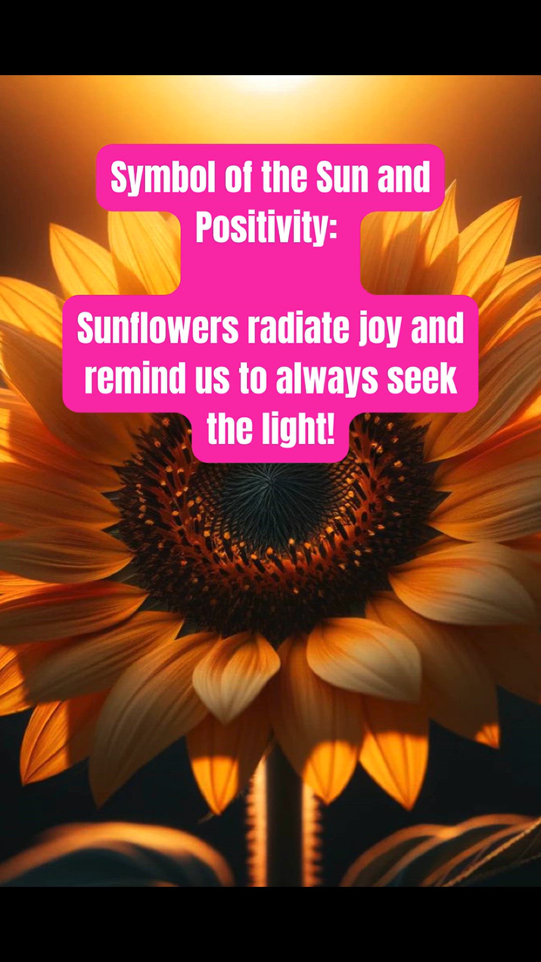 Video thumbnail for Unlocking the Spiritual Symbolism of Sunflowers: Meanings and Insights