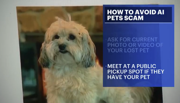Video thumbnail for Norwalk police warn of AI-generated lost pet scams
