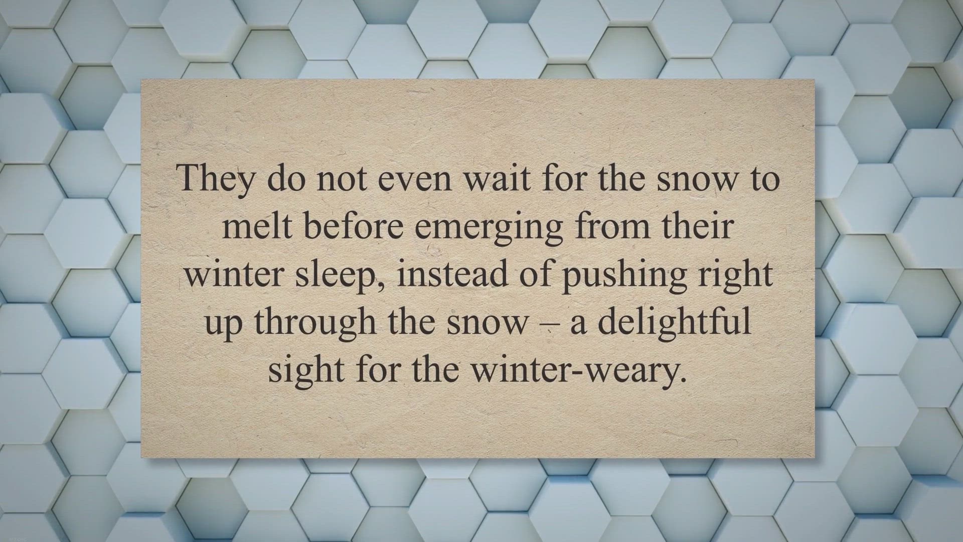 'Video thumbnail for Snowdrop By Ted Hughes - Summary, Analysis And Question Answers'
