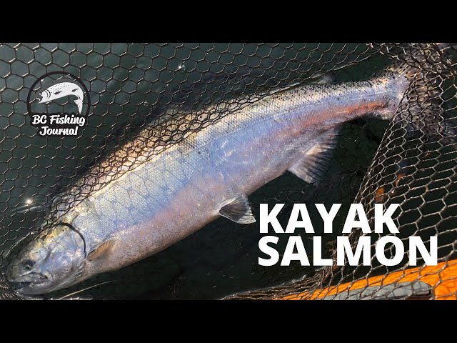 Video thumbnail for Jigging Chinook salmon in Kayak