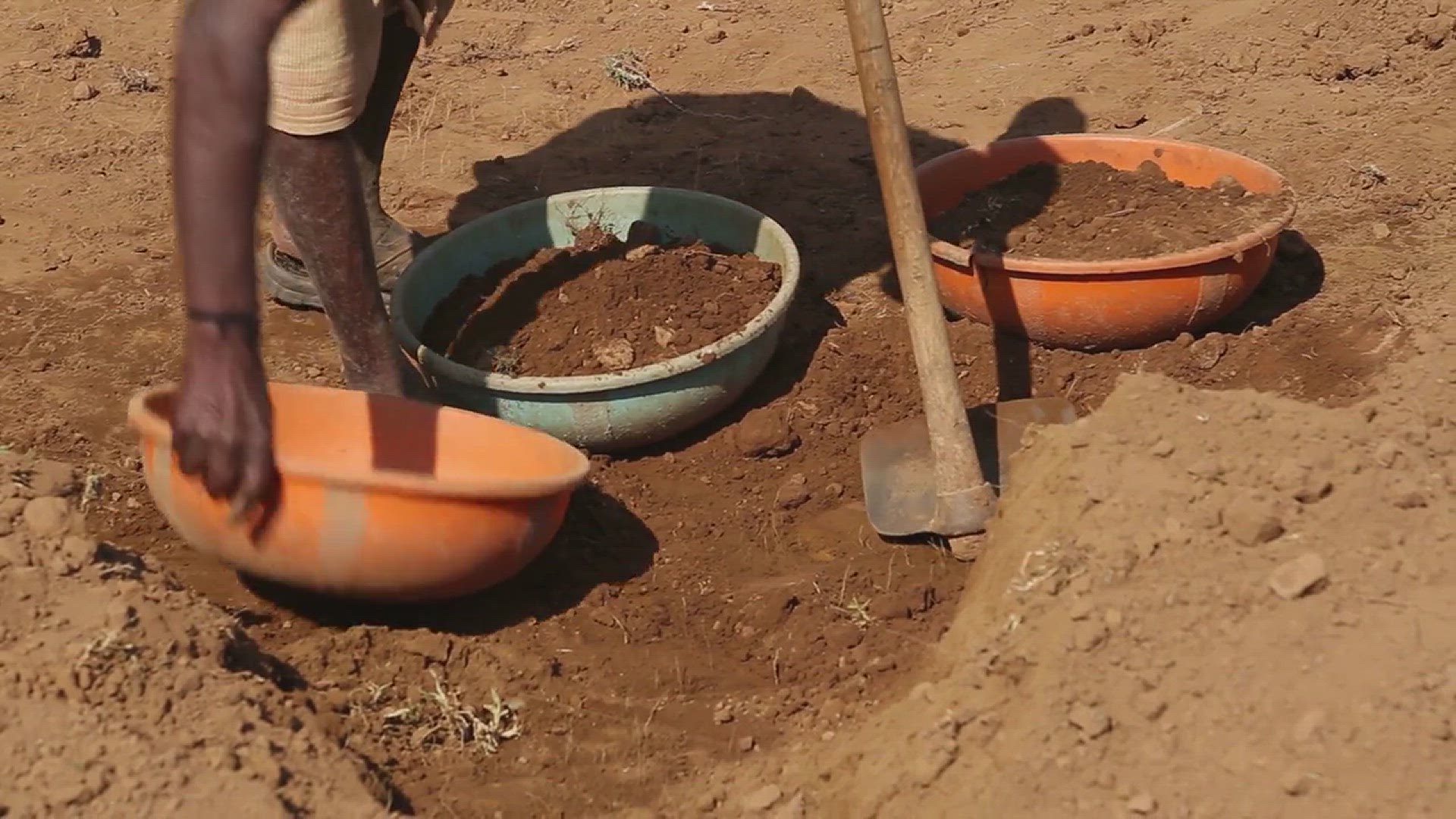 'Video thumbnail for Best Plants to Grow in Clay Soil'