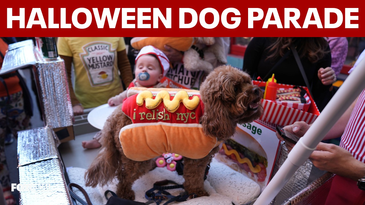 Video thumbnail for 36th annual Tompkins Square Halloween dog parade takes over East Village