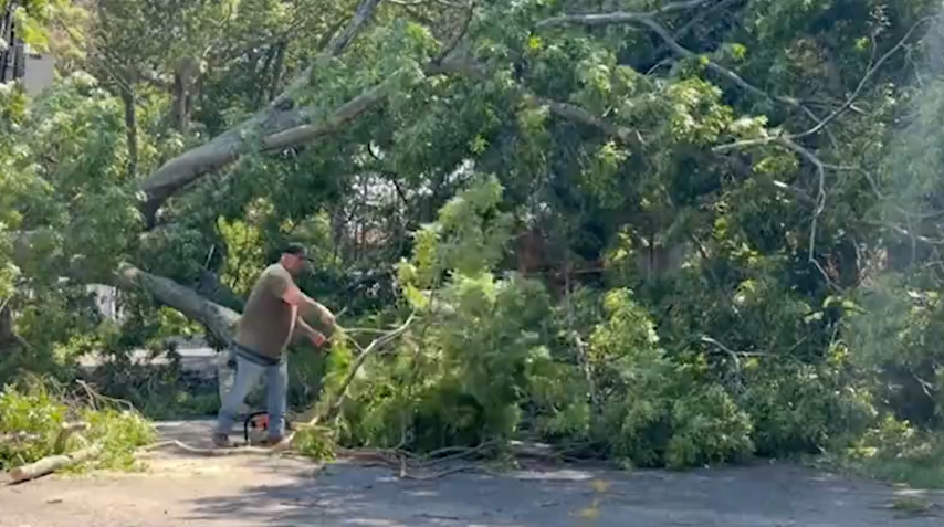 Video thumbnail for Storm cleanup continues across New Jersey amid transit delays, downed trees