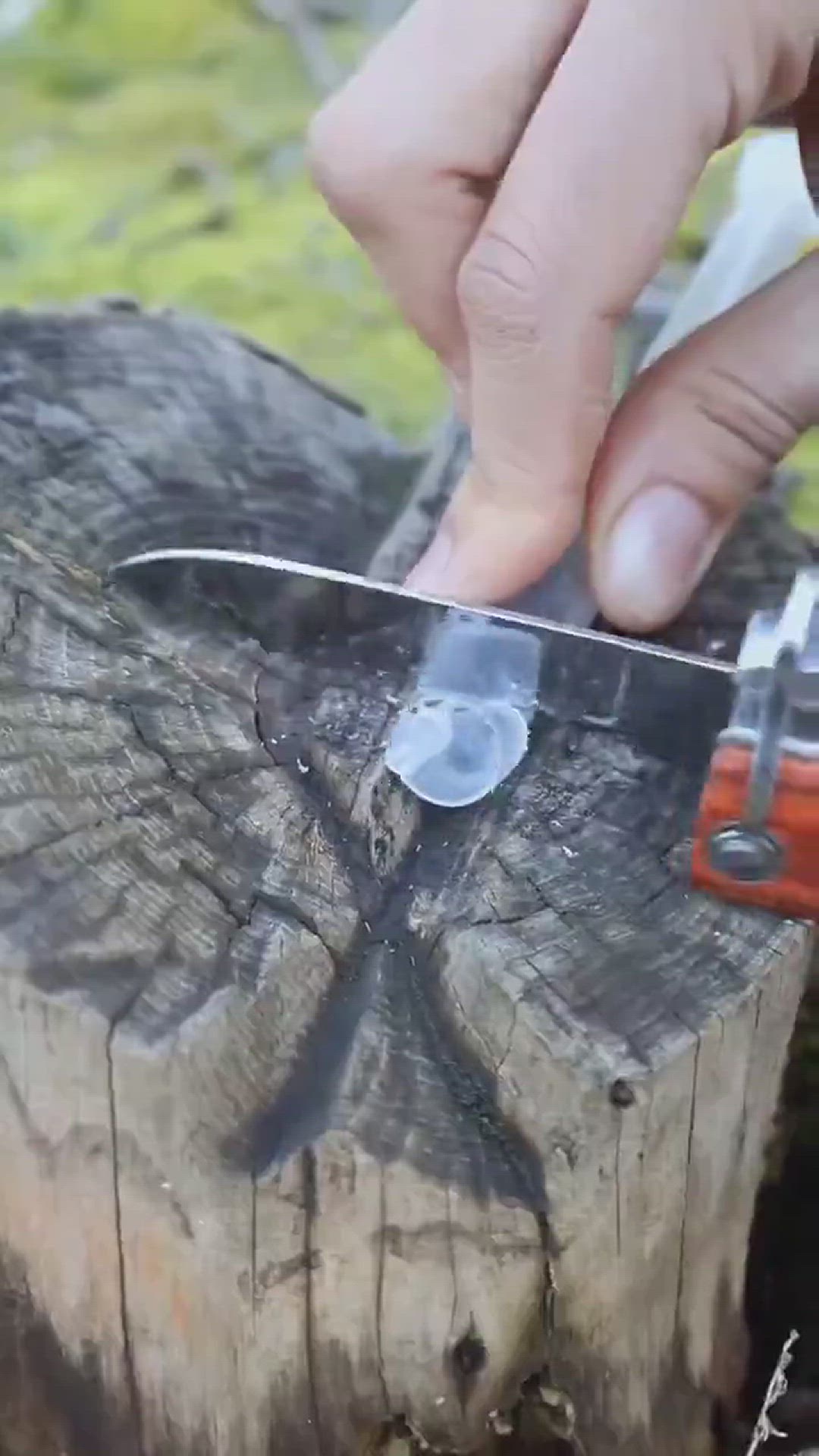 Video thumbnail for Enhance Your Outdoor Adventure with Creative Hacks!