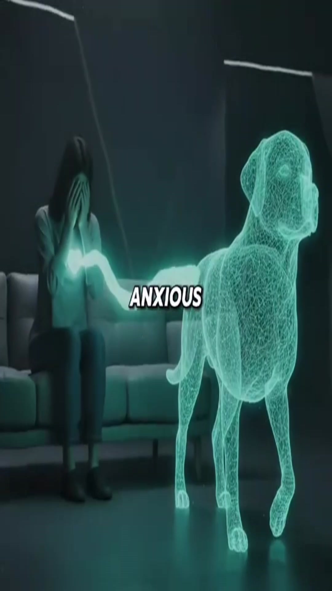 Video thumbnail for 1112 (1)(9)