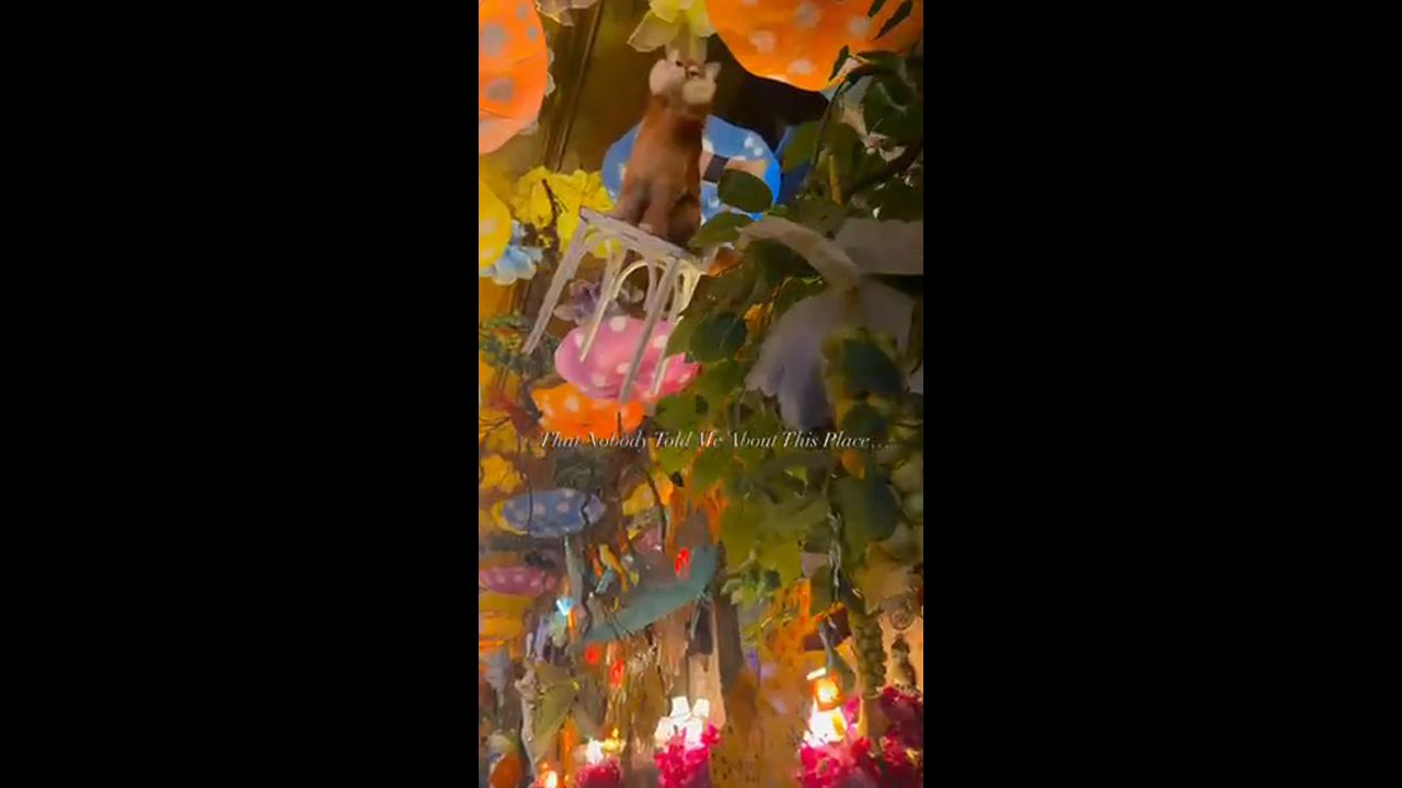 Video thumbnail for Enchanting Oscar Wilde Restaurant Escape in Manhattan