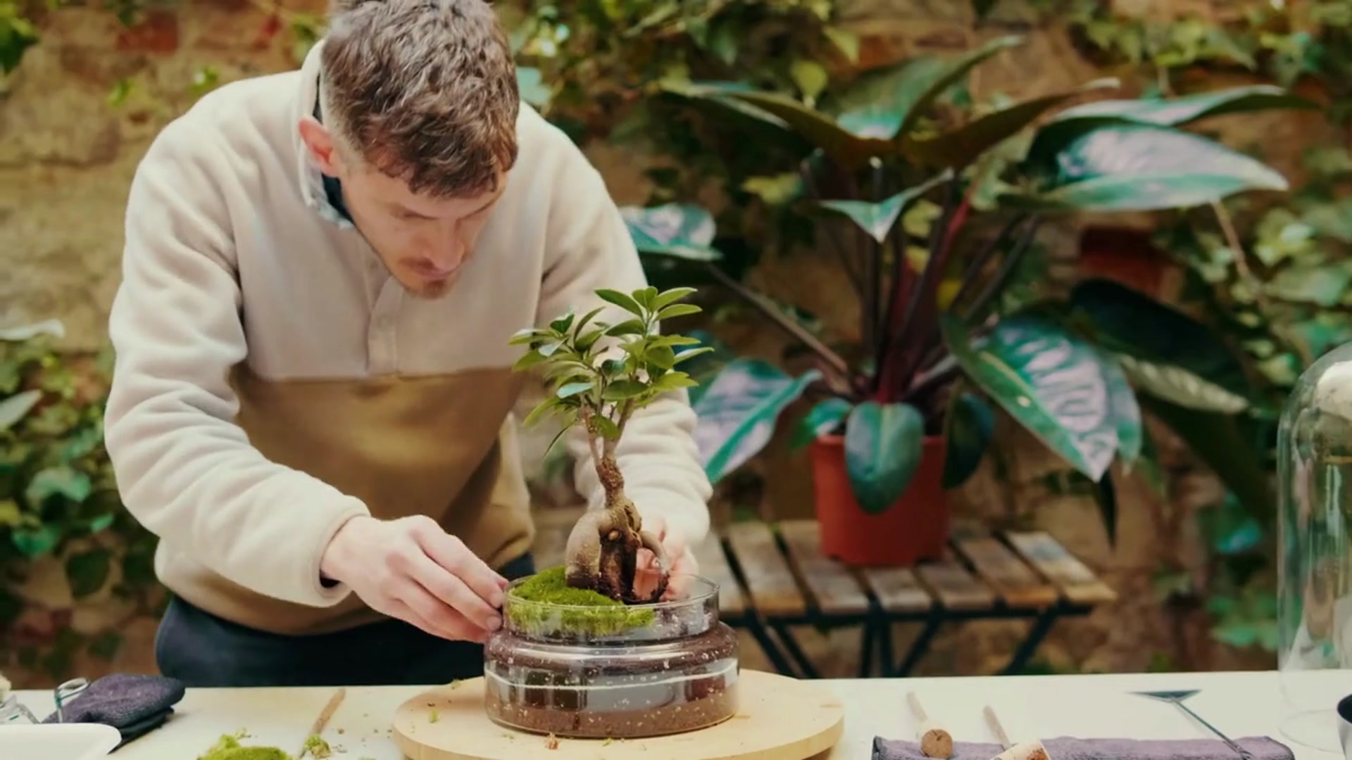 Video thumbnail for Tips to Grow Aloe Vera