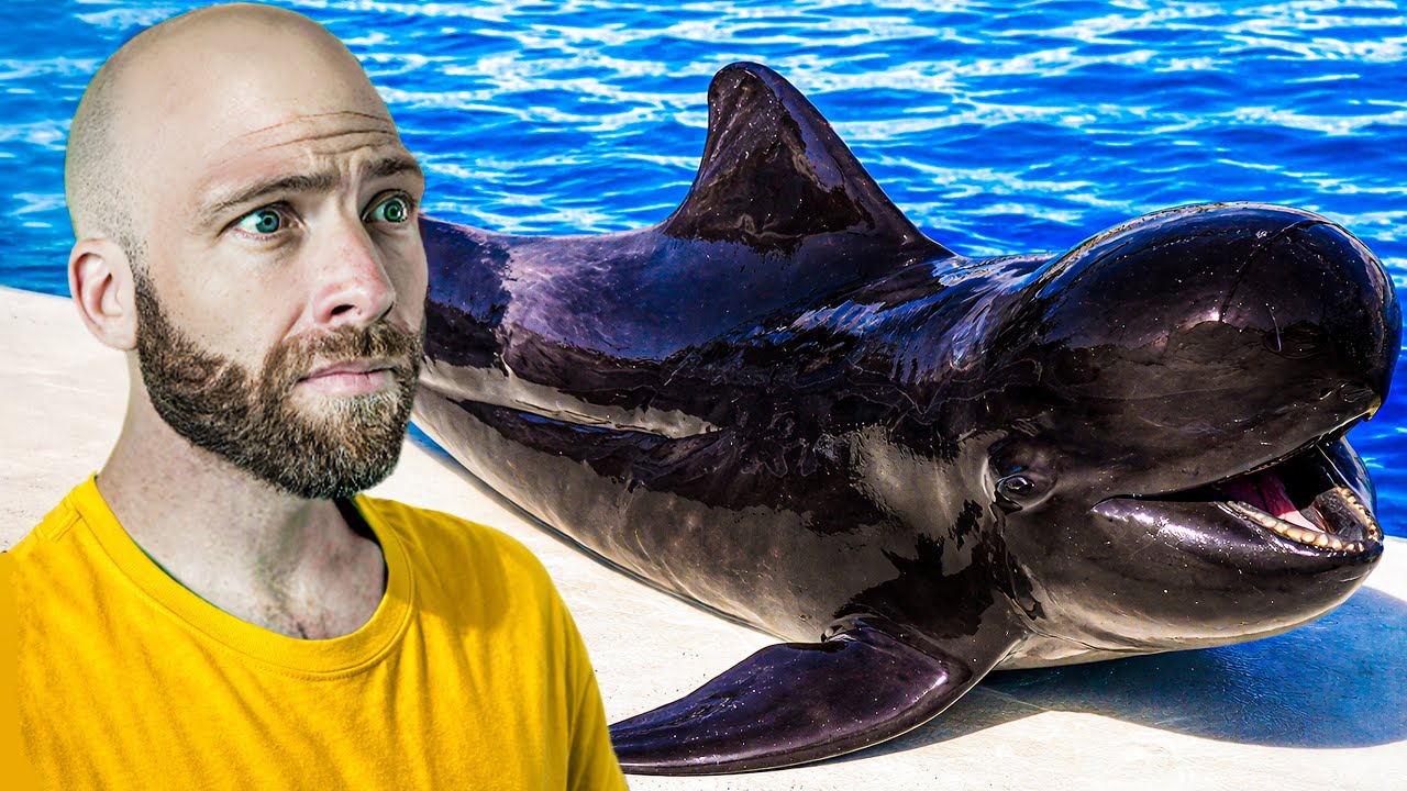Video thumbnail for I Tried Whale in the Caribbean!! You Won’t Expect This!!