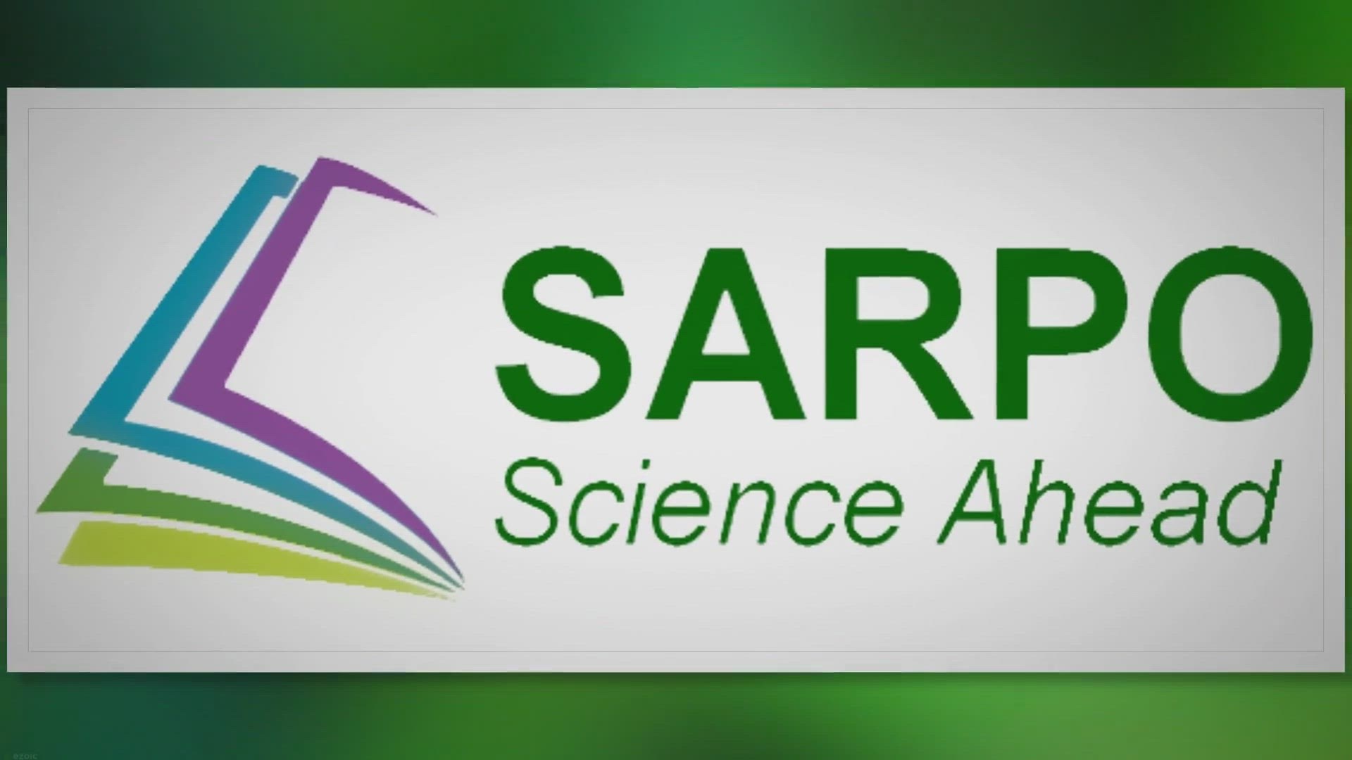 Video thumbnail for Unlock the Mystery of the Evergreen Tree That Never Sheds Its Leaves