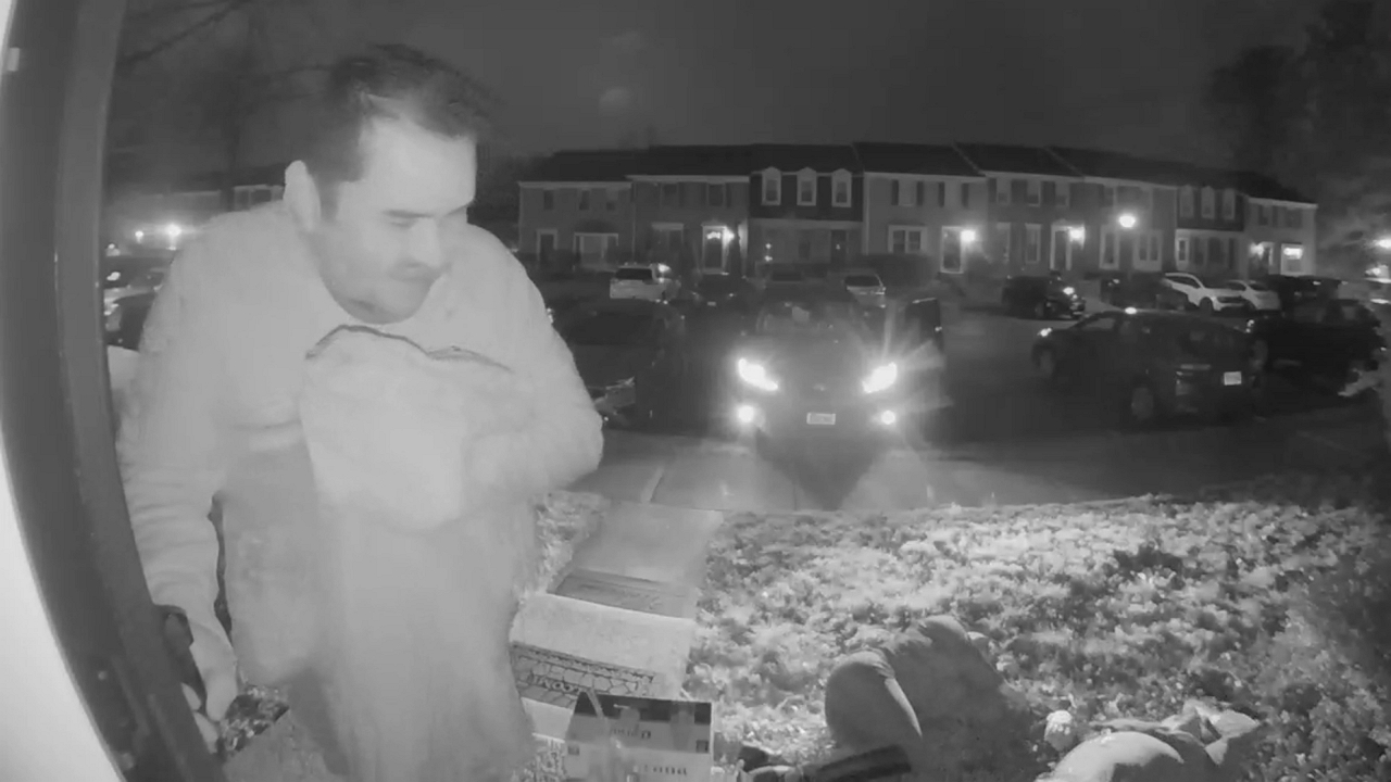 Video thumbnail for Ladies Take a Tumble on Annandale Steps After Night Out