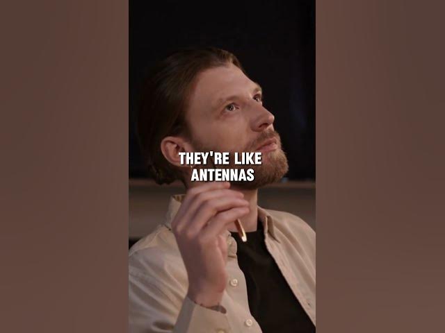 Video thumbnail for Why Can Lightworkers Feel If Danger is Coming?.. #lightworkers  #shorts