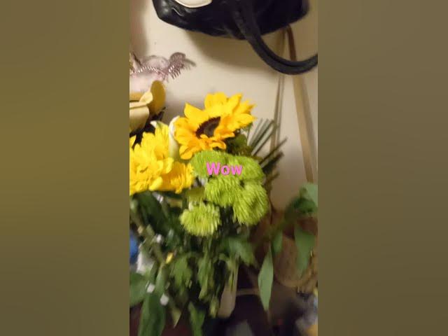 Video thumbnail for what a make-up selection