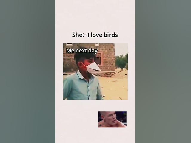 Video thumbnail for when she likes birds #relatable #memes #relationship