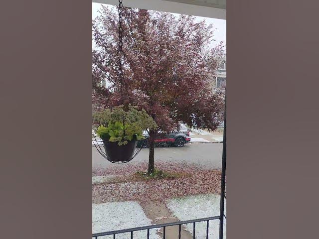 Video thumbnail for November 12, 2025