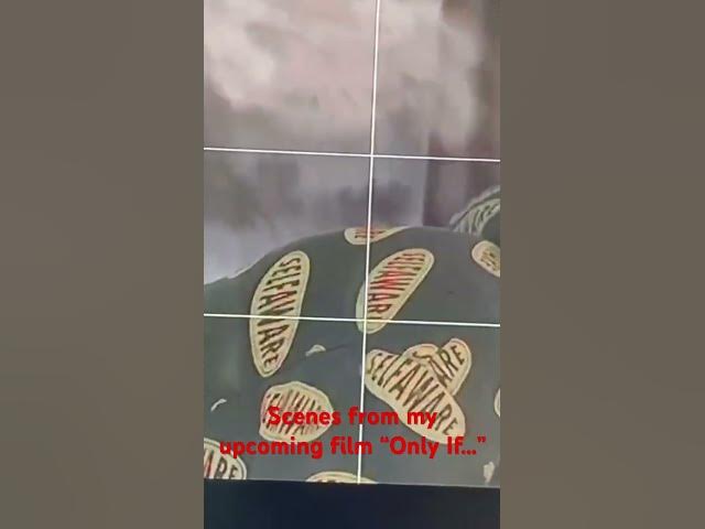 Video thumbnail for June 5, 2023